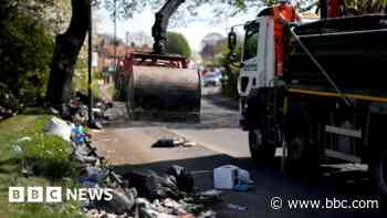 Army experts called in over Birmingham bin strike