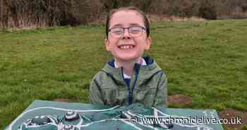 Talented eight-year-old recreates Northumberlandia with hard-boiled eggs for school project