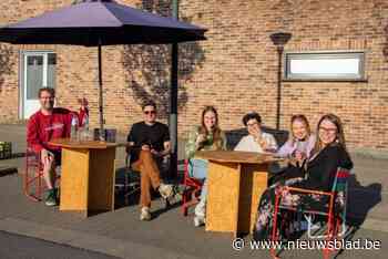 Van een extra hondenloopweide tot openluchtzwembaden: Groen stelt tien speerpunten voor meerjarenplan op