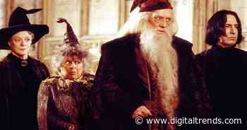 HBO announces Harry Potter TV show cast: Dumbledore, Snape, and more