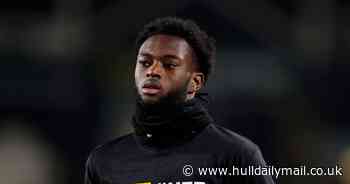 Hull City's spending on agents increases as Tigers among leaders of money table