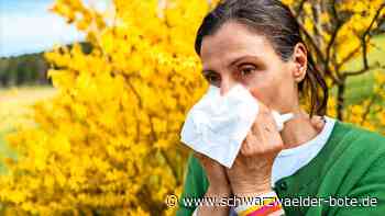 Arzt im Kreis Calw gibt Tipps: Trockenheit macht Heuschnupfen schlimmer  – was Allergiker jetzt wissen sollten