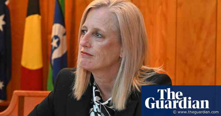 Finance minister vows to slash more consultants and accuses Coalition of importing Trump’s Doge agenda