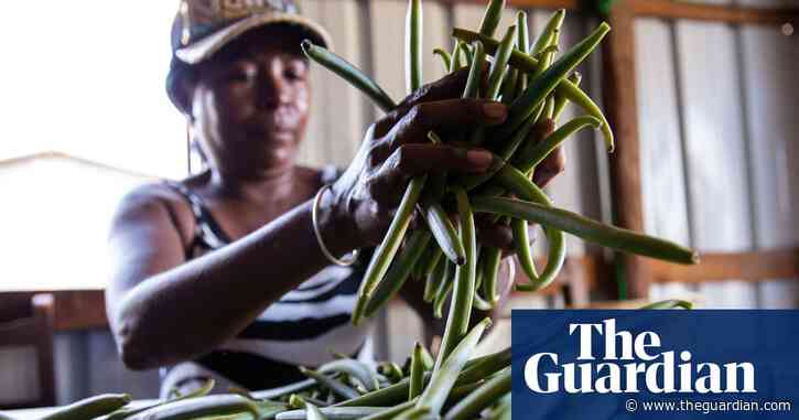 UN calls on Trump to exempt poorest countries from ‘reciprocal’ tariffs