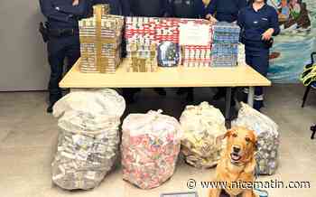 Il avait dissimulé 195 paquets de cigarettes dans un collant: près de 80 kg de tabac saisis par les douanes dans les Alpes-Maritimes