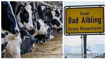 Nach Tier-Drama mit toten Rindern in Bad Aibling: Landwirte haben Angst vor Generalverdacht