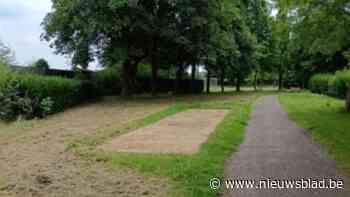 Petanquebanen verdwijnen door te weinig gebruik, opknapbeurt voor zeven andere velden