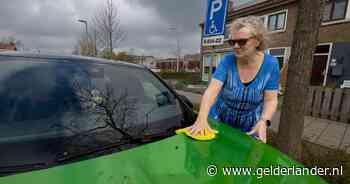 Sandra (57) moet elke dag vogelpoep van auto boenen, gemeente houdt vast aan invalidenplek: ‘Het liefst pak ik een buks’