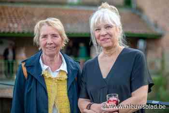 Zwerfkatten spelen hoofdrol in tentoonstelling, met Sien Eggers als meter: “De asielen puilen uit”