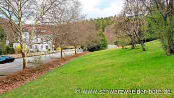 Streetball und Kletterfels: In Nagold entsteht ein neuer Spielplatz für die Großen