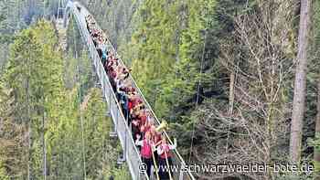 Enztalmusiker spielen auf der Wildline: Musiker aus vier Vereinen bieten Hochgenuss in Bad Wildbad