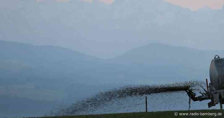 Gülle wird in Pool geweht – Landwirt muss zahlen