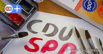 Mitgliedervotum der SPD in SH über Koalitionsvertrag: Genossen zwischen Baum und Borke