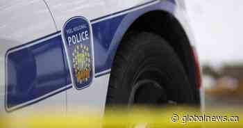 Mississauga, Ont., man charged after puppies found dead or mutilated: police