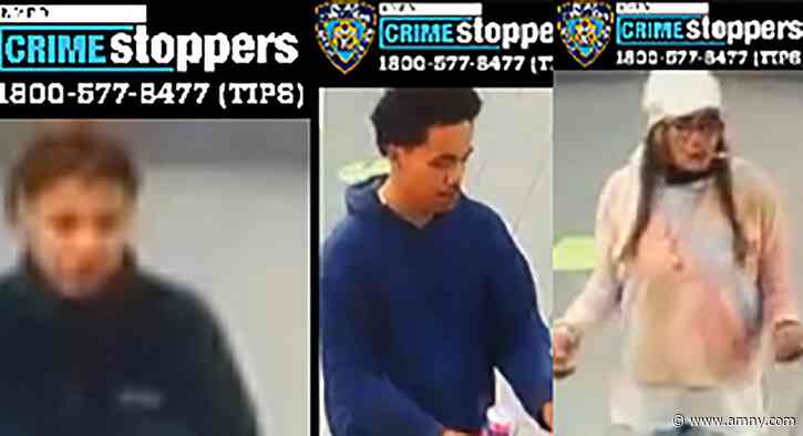 Bronx group stabs dog owner in face and head after he tells them not to pet his pit bulls