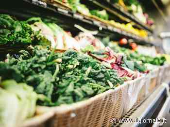 Mantenere il cervello sano: quale dieta seguire secondo gli esperti