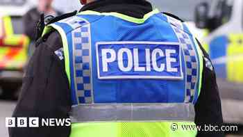 Attempted murder arrests continue after brawl