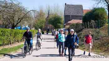 Bloesemfietsers belanden met breuken in het ziekenhuis: “Jaarlijks terugkerend fenomeen”
