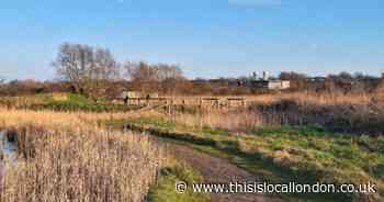 How Rainham Marshes nearly became a Universal theme park