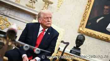 Trump plant Medizin-Zölle: „Wollen eigene Medikamente herstellen“