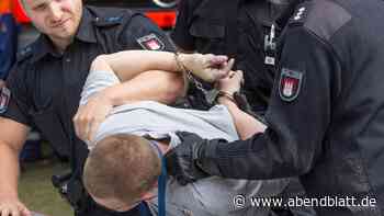 Diese Delikte beschäftigten Hamburgs Polizisten im ersten Quartal