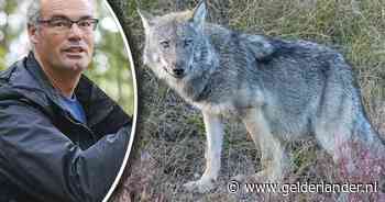 Sta je ineens oog in oog met een wolf? Dit moet je dan (niet) doen