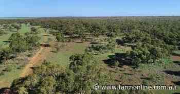 Karoo: Western sheep, cattle and goat country with carbon opportunity