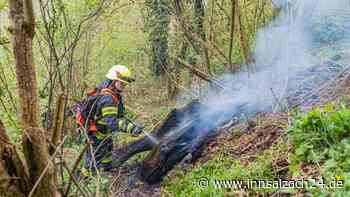 Passanten melden Waldbrand am Burghauser Salzachhang – Feuerwehr mit Großaufgebot vor Ort