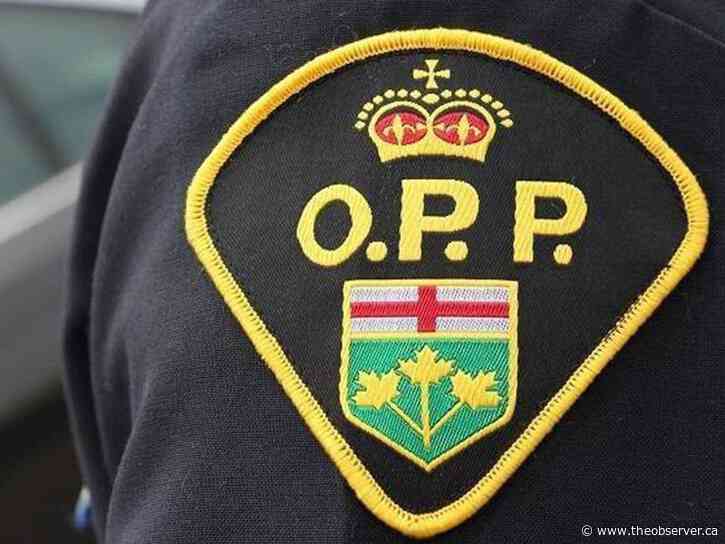 Man jailed for biting, threatening to kill Lambton OPP officers