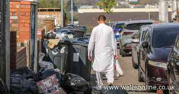 Army called in to help with Birmingham bin strike amid public health crisis fears