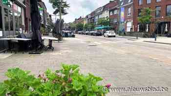 Deskundige zoekt oplossingen voor wateroverlast in Vennestraat