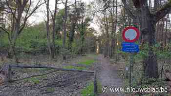 Schuldige van stroomonderbrekingen in Bilzen gevonden: waarom oplossing nog tijdje op zich kan laten wachten