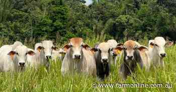 Brazil's not just big, it's an incredibly productive agricultural machine
