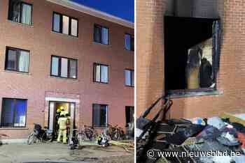 Vier bewoners raken gewond bij uitslaande brand in appartementsgebouw in Mol