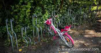 ‘Familierechter die beslist over  kinderen negeert huiselijk geweld’, zegt onderzoeker