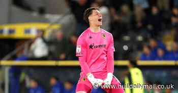 Hull City player ratings as Ivor Pandur shines to help Tigers claim huge point