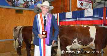 Jack shows off beef assessment skills during state junior judging
