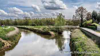 Genootschap rakelt oude discussie op: mondt de Demer uit in de Dijle of omgekeerd?