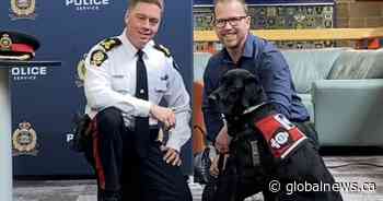 Edmonton Police Service has its 1st Operational Stress Intervention Dog