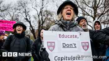 Trump freezes $2bn in Harvard funds after university rejects demands