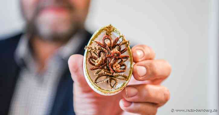 Kunst oder Kulturschock? Behaarte Ostereier für das Nest