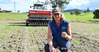 Resowing ryegrass at Gloucester after 130mm the day after first planting