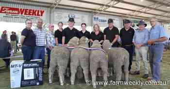 Winners were hard to split at final judging at 2025 Williams Gateway Expo