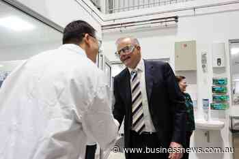 Green support increases as Albo edges further ahead in polls