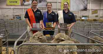 Love helps bring home the gold for fine fleece enthusiast Victoria