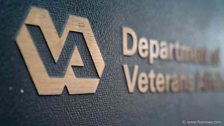 DOGE uncovers massive VA contract for ‘salary survey data and analysis' — says it canceled it, saving millions