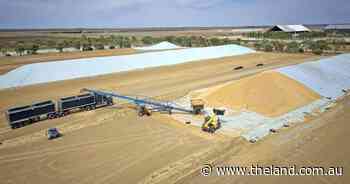 Key Riverina grain receival site bought by its existing operator