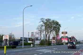 Lochristi is hét winkelparadijs van Oost-Vlaanderen: “Toch staan we al jaren op de rem tegen grootschalige ontwikkeling”