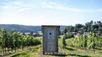 Wasser oder Wischen: Was der Po wirklich braucht