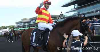 Matcha Latte takes out final while Via Sistina equals Winx | Tails